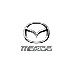 car-brands-services_0025_Layer-19